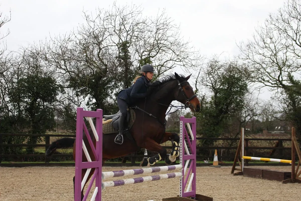 8225621078406-qs5l3btsswrmyt63ovihq8-IMG-9493 thumbnail image