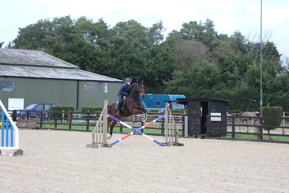 8225621133827-88gqfvldefow3jidj6f70j-IMG-9490 thumbnail image