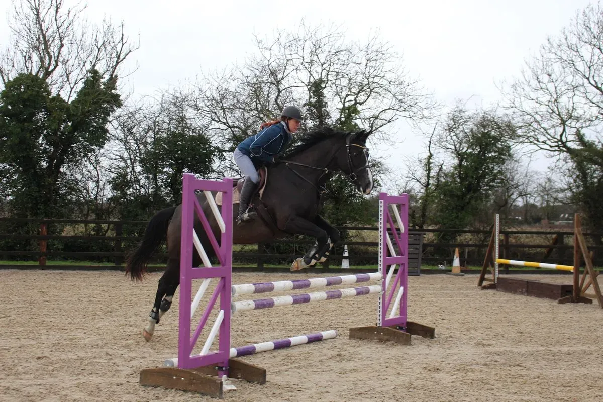 8225621336908-6qqyf7uh0s3hndmwky5oss-IMG-9488 thumbnail image