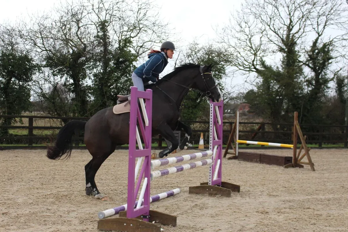 8225621571673-icoey4awpwk161ier4027r-IMG-9483 thumbnail image