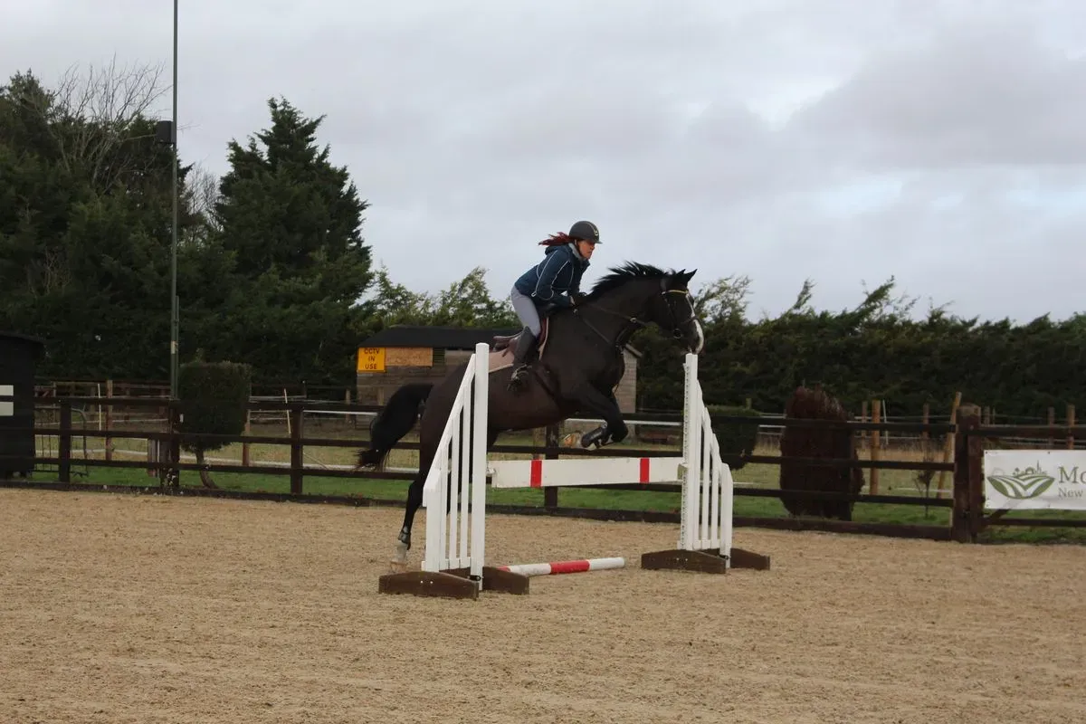 8225621664753-g14ppt5ud4n4njtbprav5t-IMG-9481 thumbnail image