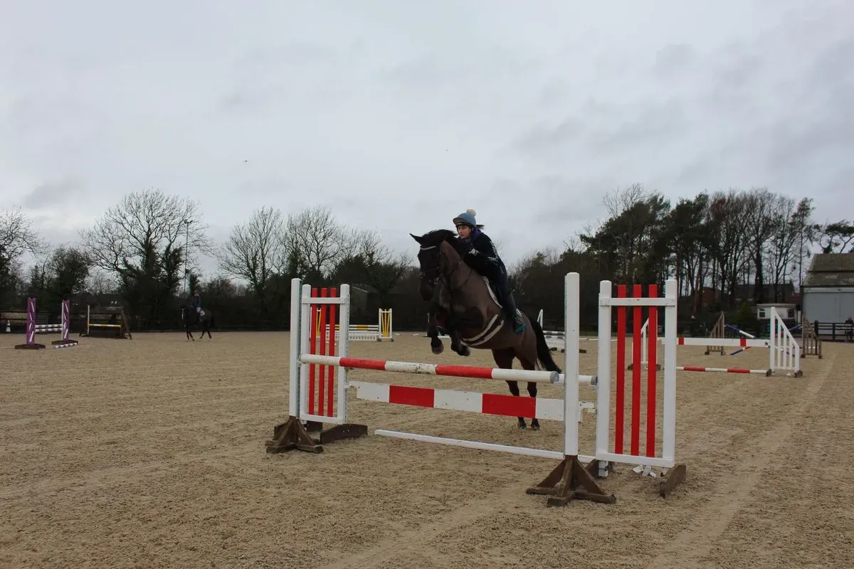 8225621778332-16hul5q1a79d1mswcx0jkv-IMG-9477 thumbnail image