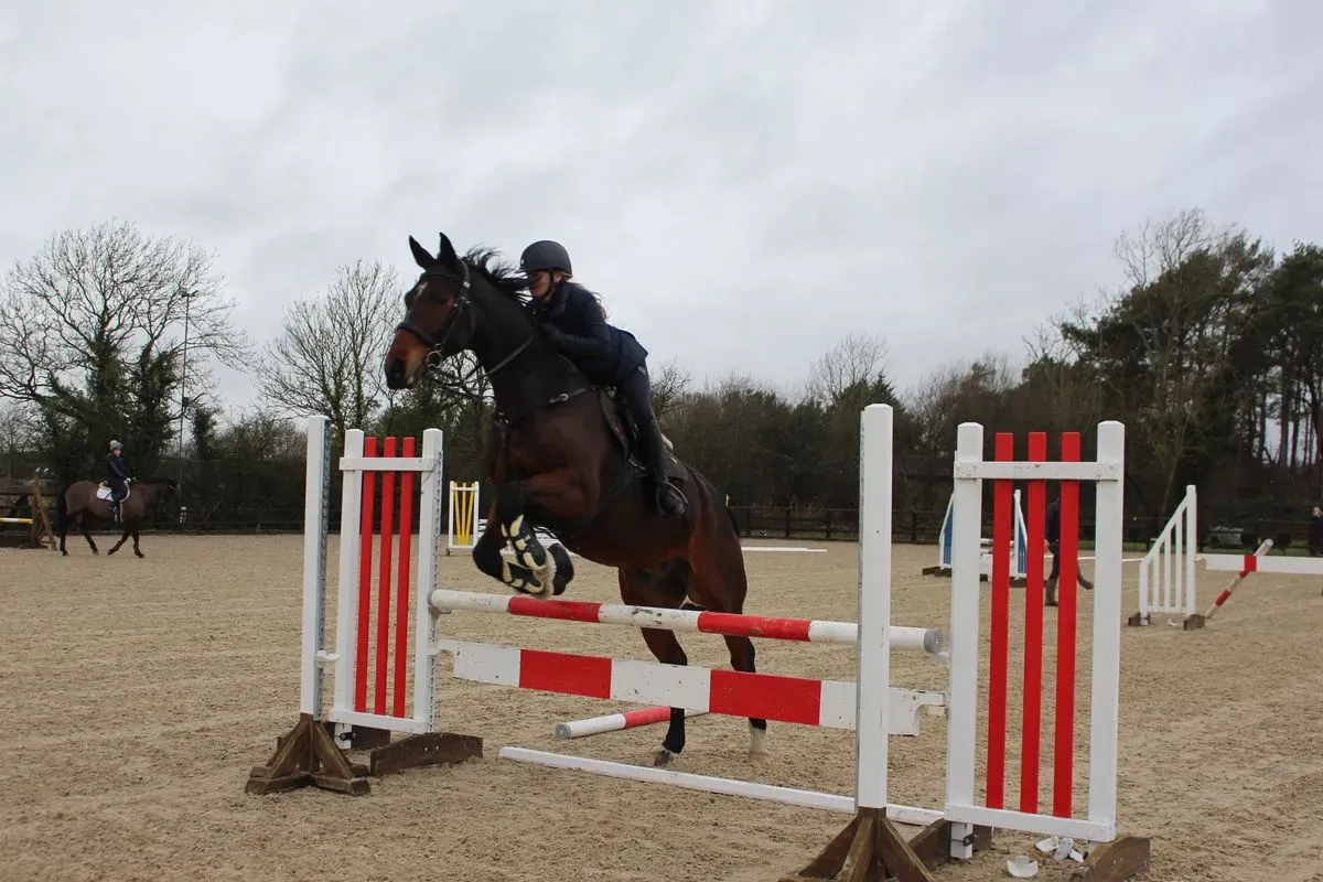 8225622072999-8ooivfv7npvgyo5ua1ruba-IMG-9472 thumbnail image