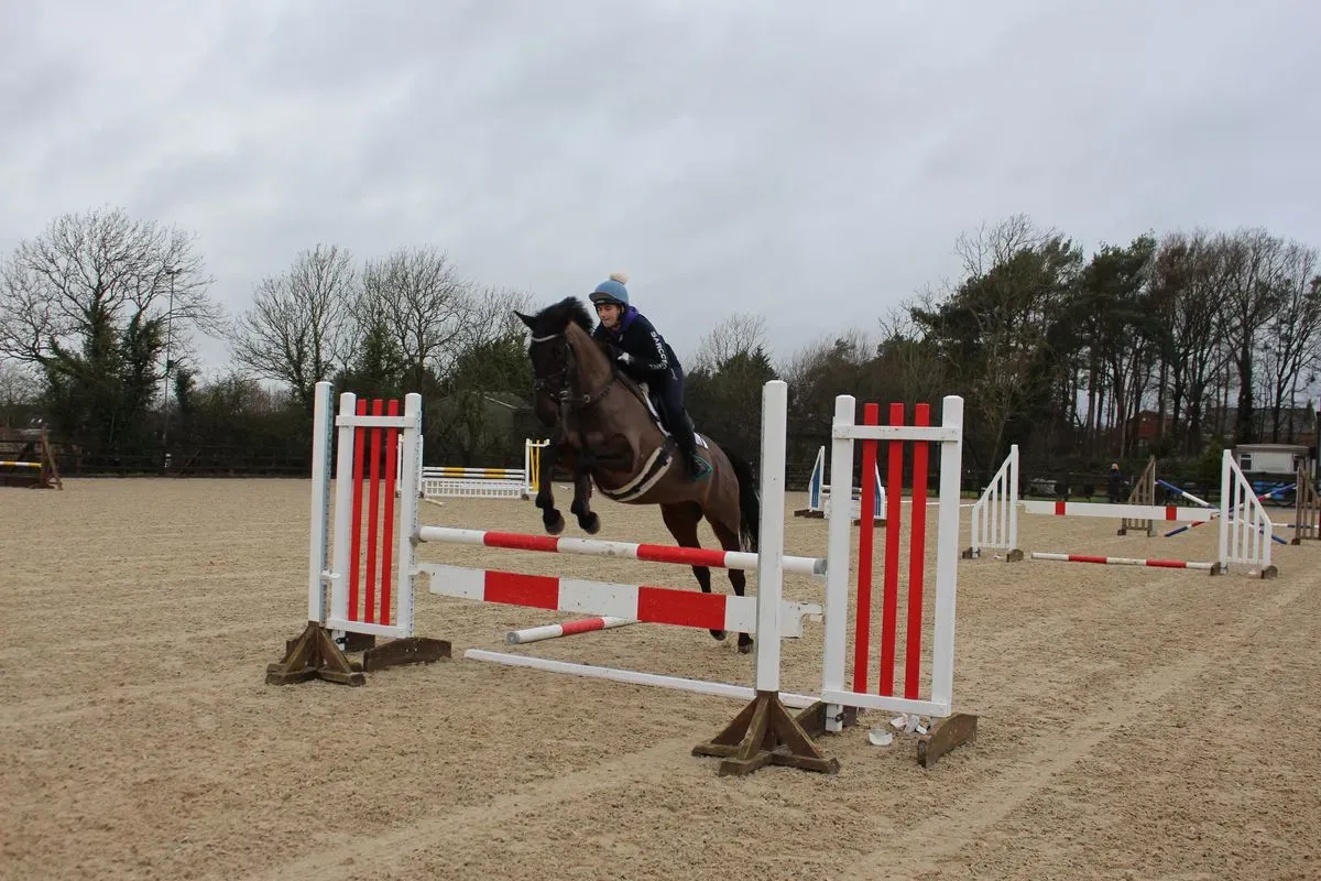 8225622285193-co80y7pj6ogcd4wc2kgaus-IMG-9462 thumbnail image