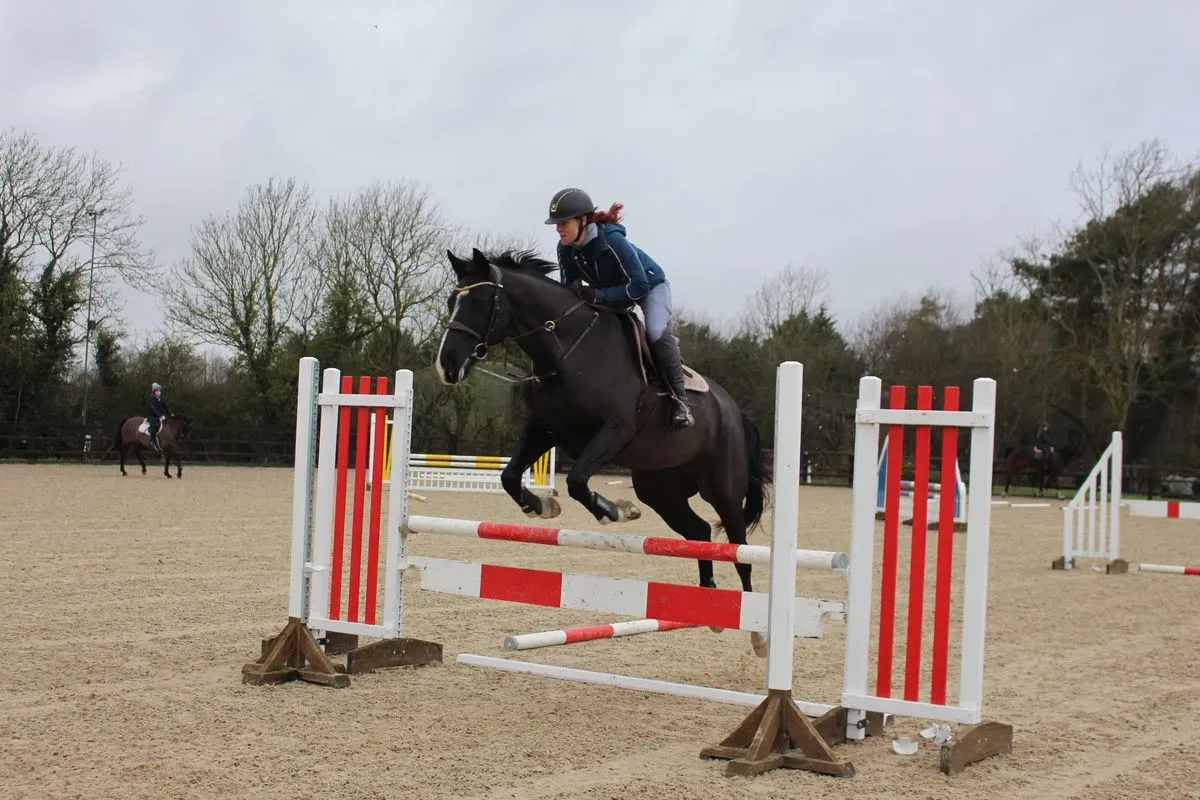 8225622333453-vkvj57q8pbq7tpiqagd602-IMG-9460 thumbnail image