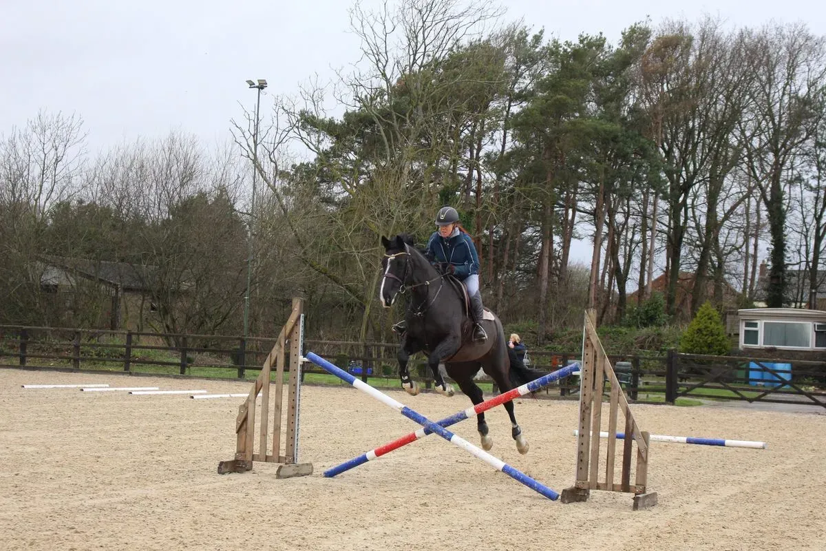 8225622852684-3j6e47gf1tjr7fd7hxaq4b-IMG-9458 thumbnail image