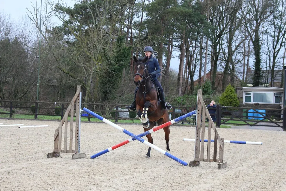 8225623037068-x67ni5dykye81xl09nuj1c-IMG-9456 thumbnail image