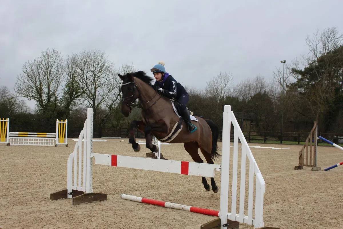 8225623414289-8w6lisipbgj3gn1g5v6wpm-IMG-9455 thumbnail image