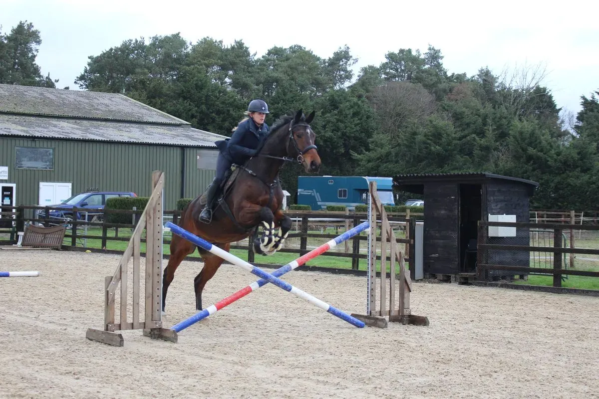 8225623709821-ylg8o0uj3xab6yt4pjs76s-IMG-9452 thumbnail image