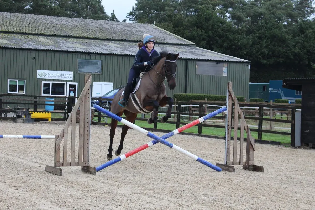 8225623918154-stjsbldz0w2h3atvpnu8p-IMG-9450 thumbnail image