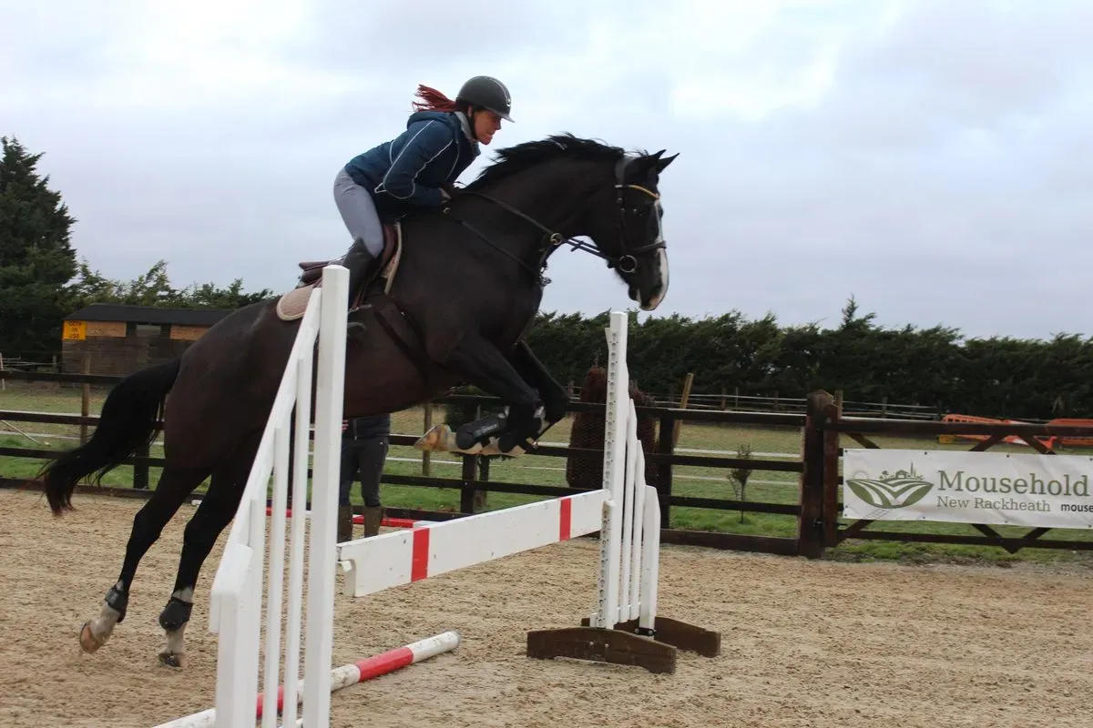 8225625562452-jzc8vyoo6e9groz3zs43tp-IMG-9449 thumbnail image