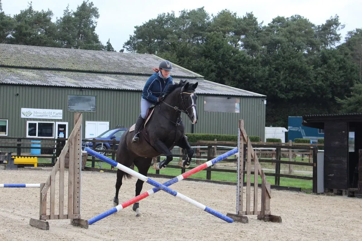 8225625605249-zeqod0ly9df2gj2c4n6kv3-IMG-9448 thumbnail image