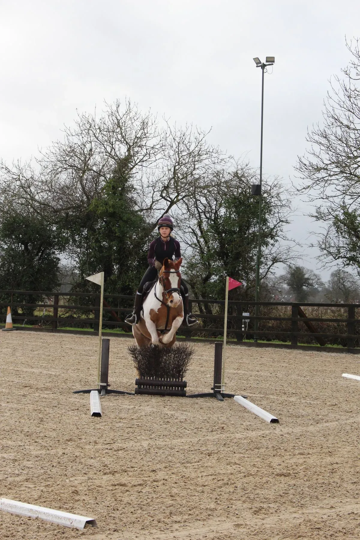 8225626544778-41oyesix1sy9z921uvnmic-IMG-9443 thumbnail image