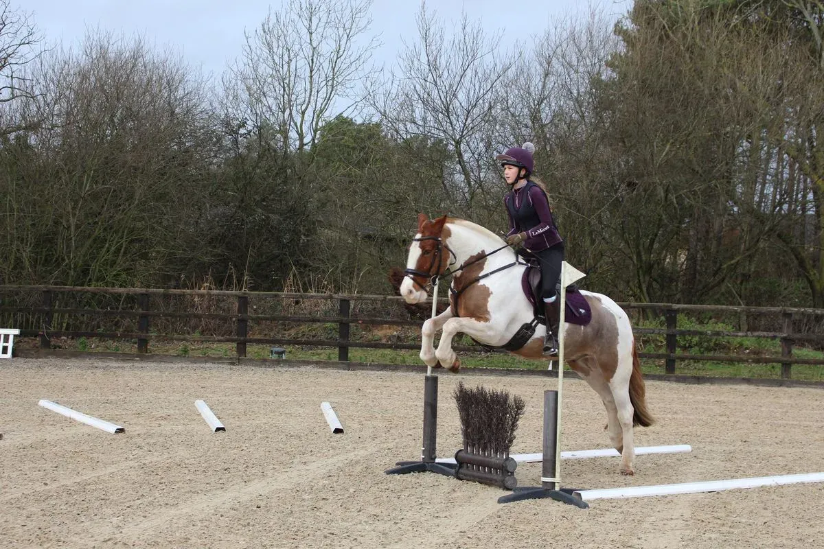 8225626585137-qwm6d3dwxfe35o4ysfqoc9-IMG-9442 thumbnail image