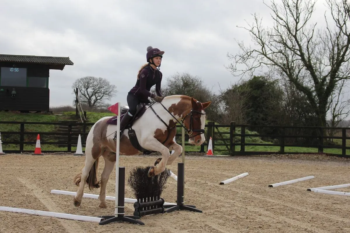 8225626623229-vjx90msd24lqn3w7s46qm-IMG-9441 thumbnail image