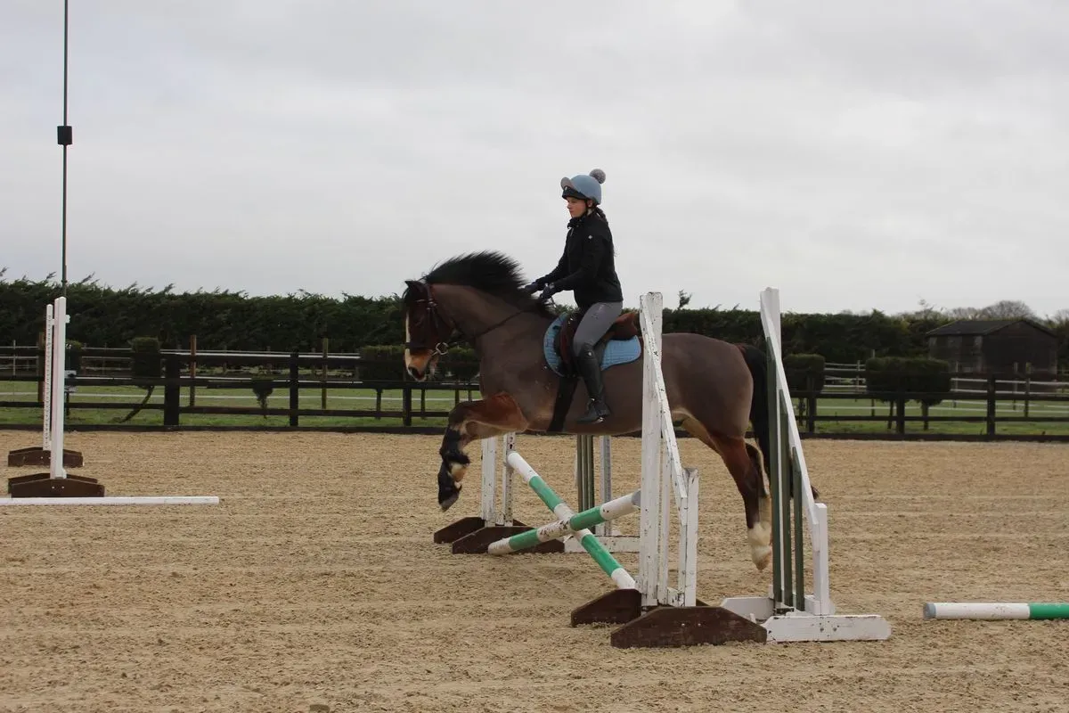 8225626701085-ggmome0ro4atqqdmsnakcg-IMG-9429 thumbnail image