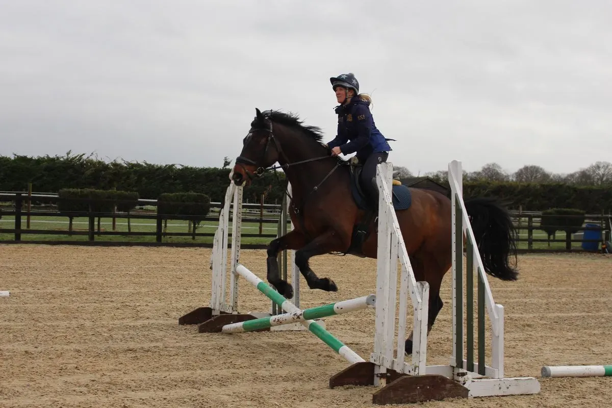 8225626800520-41co9bj1zxh9i9w9w5iaze-IMG-9420 thumbnail image