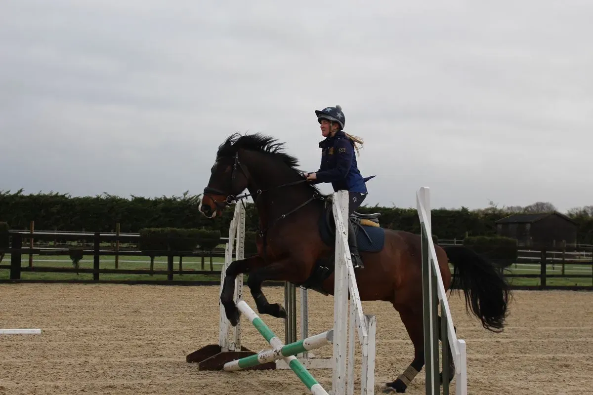 8225626886399-0nymjycdgo5a2cs6gsc4pw-IMG-9412 thumbnail image