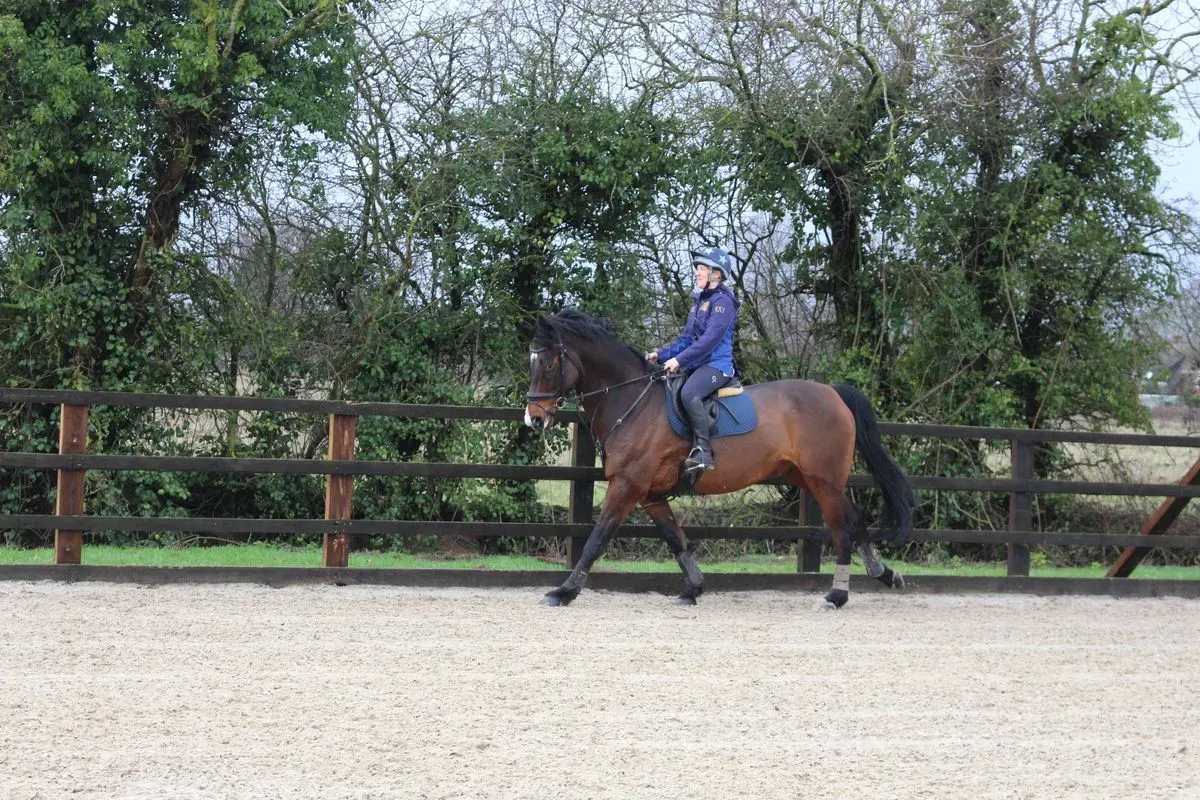 8225626925309-q5k3gfcv8xovv30l6qohne-IMG-9409 thumbnail image