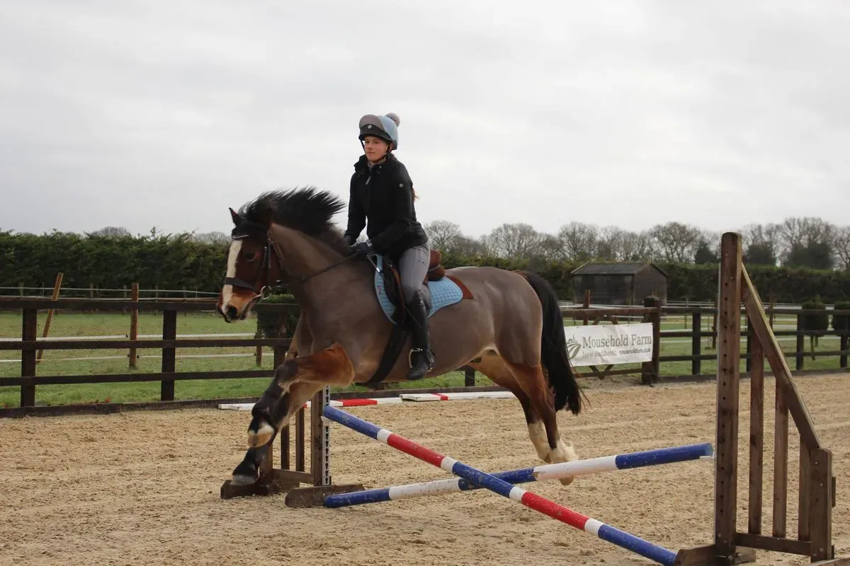 8225626963772-i91x0n20k7i1of1dymcb58h-IMG-9406 thumbnail image