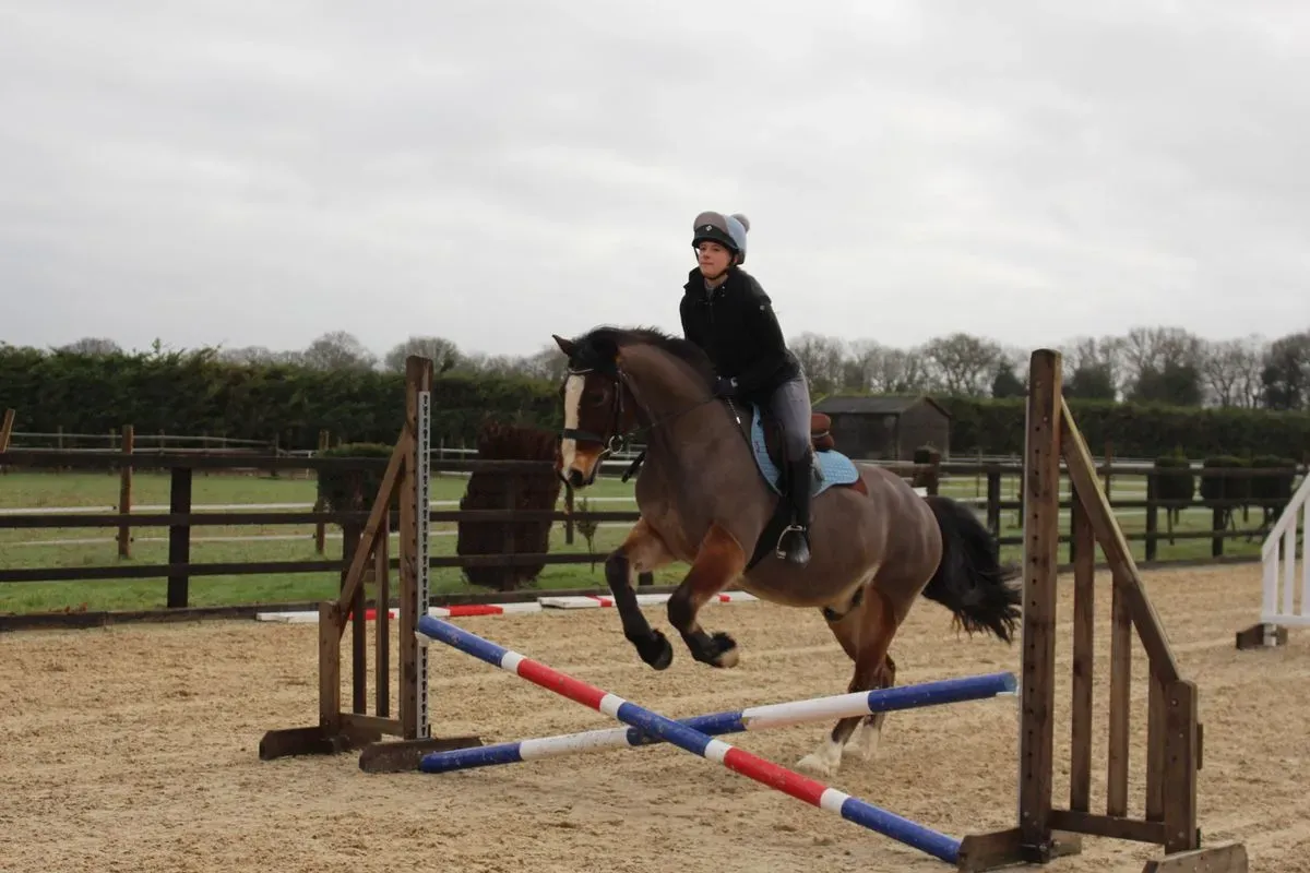 8225627009346-zwvi5gu7ljmh662ifk27qk-IMG-9405 thumbnail image