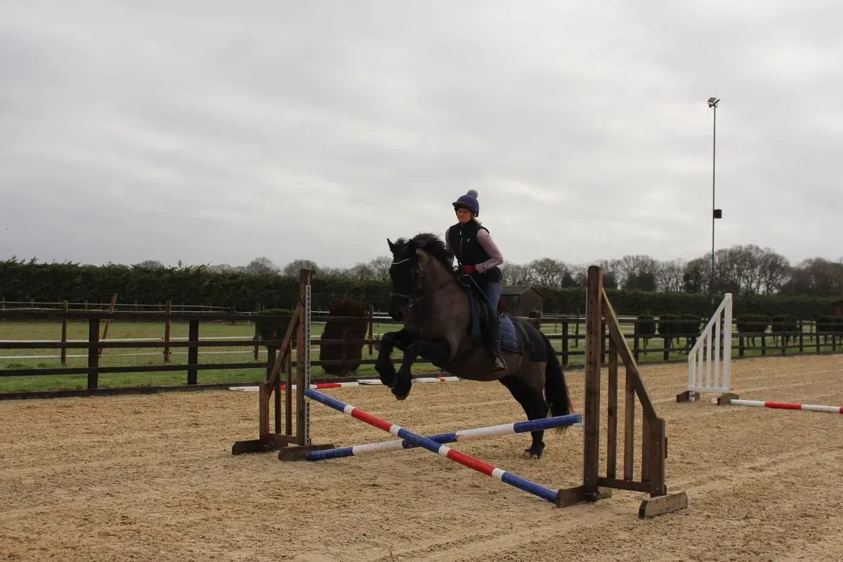 8225627053597-jiadvshm33fei6uuqleem-IMG-9401 thumbnail image