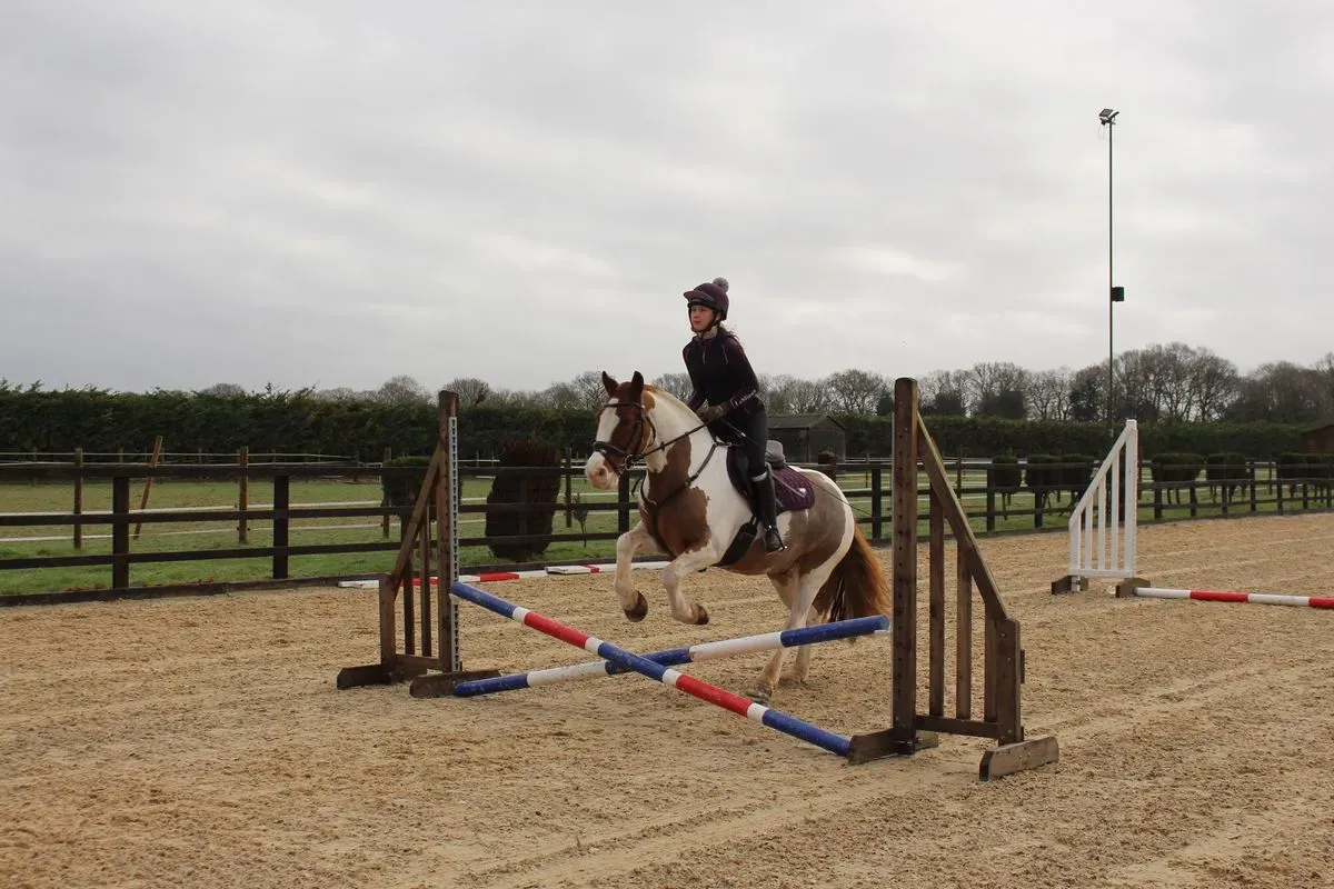 8225627098220-dyrgt81o4td24omuf0je35-IMG-9400 thumbnail image