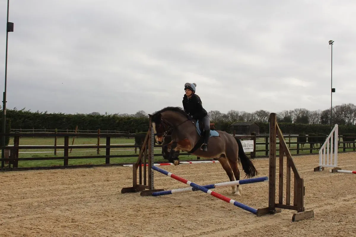 8225627134528-hfnwsp5xoe9m679027xrko-IMG-9399 thumbnail image