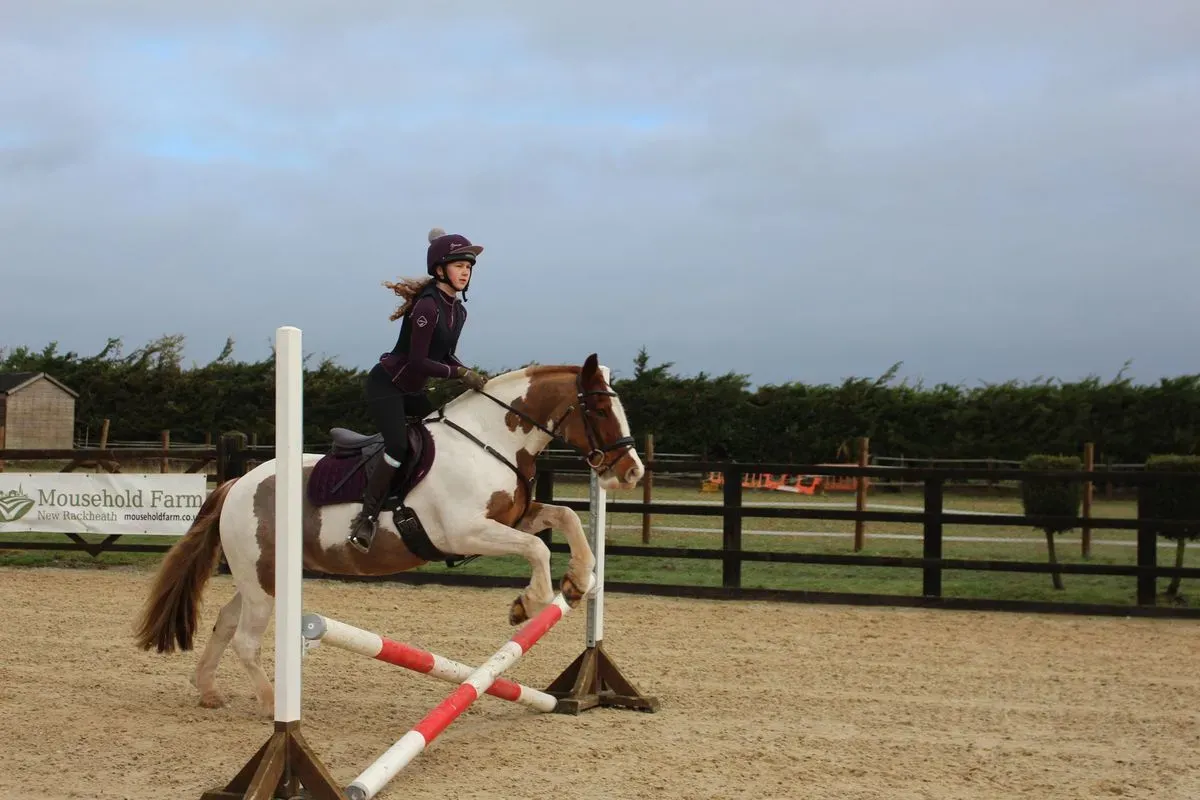 8225627252642-crkyznsi21nmpp8ec3gv1n-IMG-9393 thumbnail image