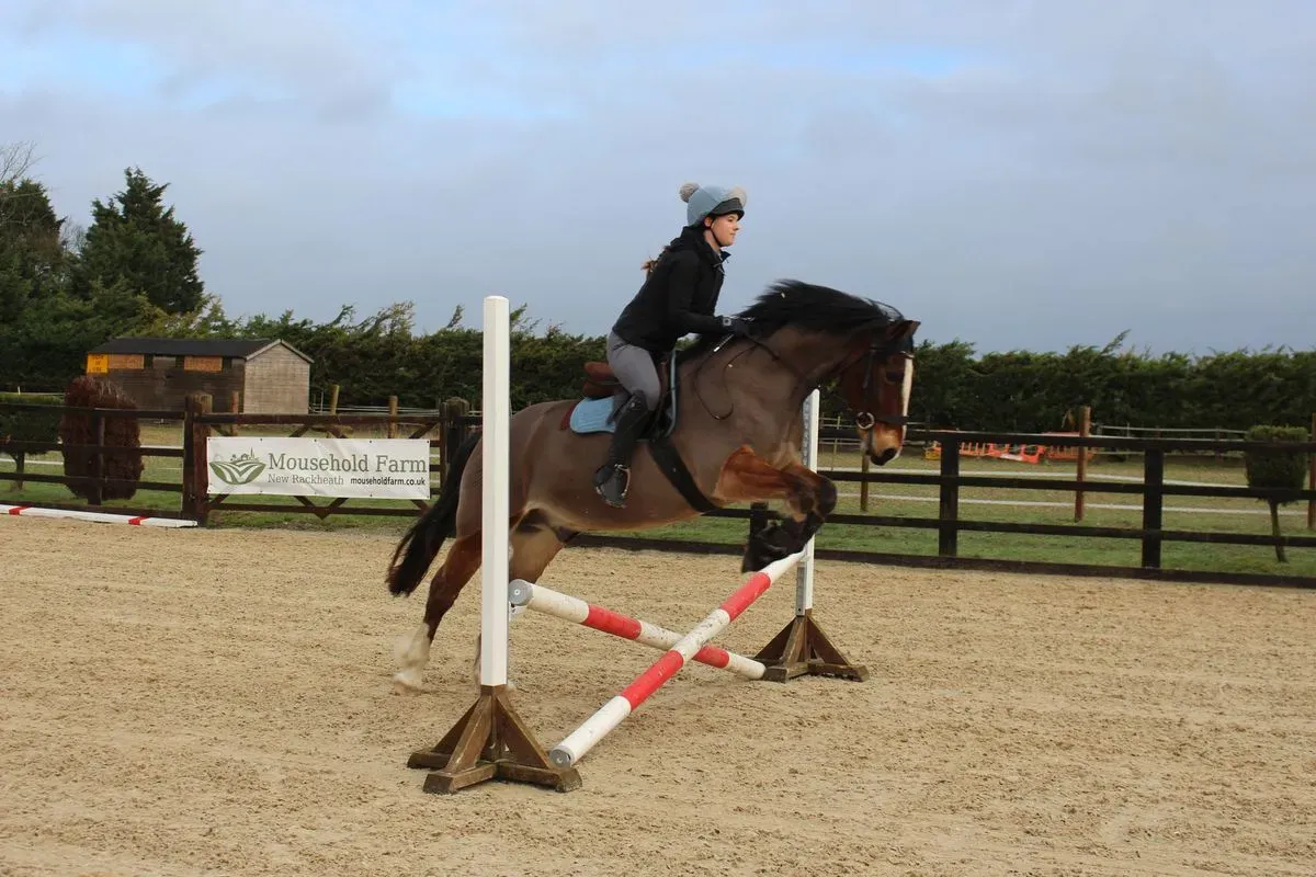 8225627298434-2r4ngdrapotbo1iscft99g-IMG-9392 thumbnail image