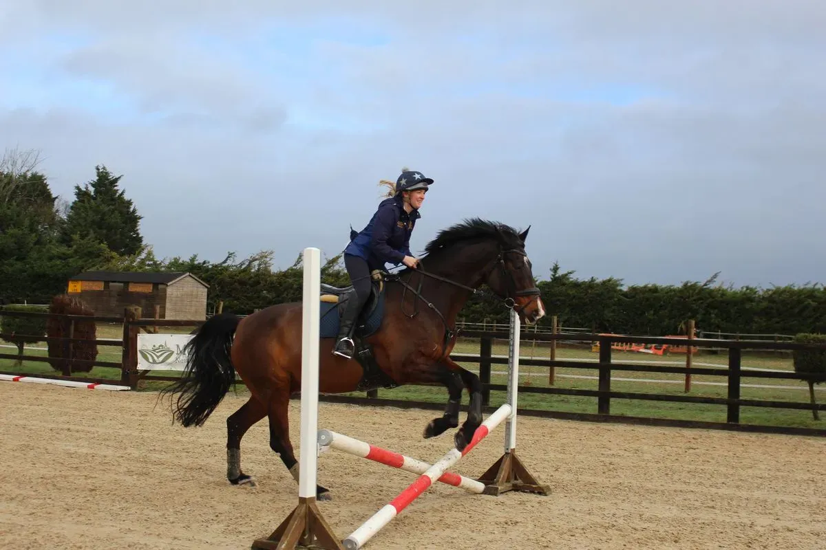 8225627337912-jvbd6lvo0gh3h6ji61eoin-IMG-9391 thumbnail image