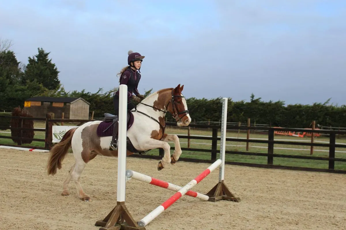 8225627464296-xehzzh2zcz9f4adqc8vknq-IMG-9387 thumbnail image