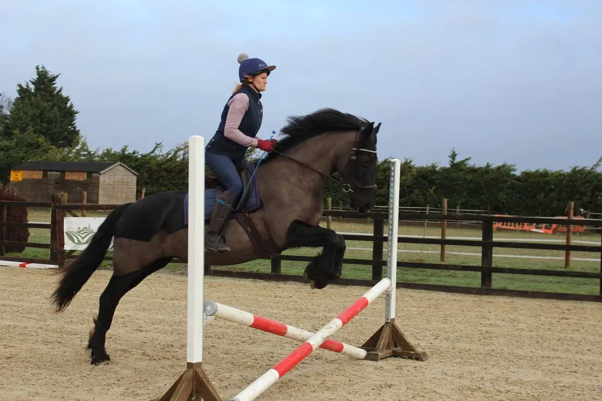 8225627509312-mv9hv083n1e7gcyoh2vfjx-IMG-9386 thumbnail image