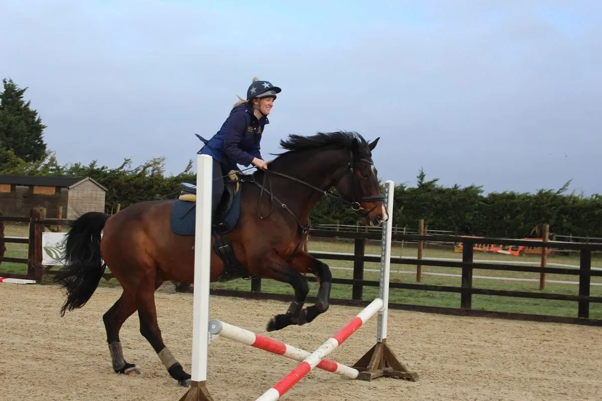 8225627551807-ejfw4hunl3axyeatnkscno-IMG-9385 thumbnail image