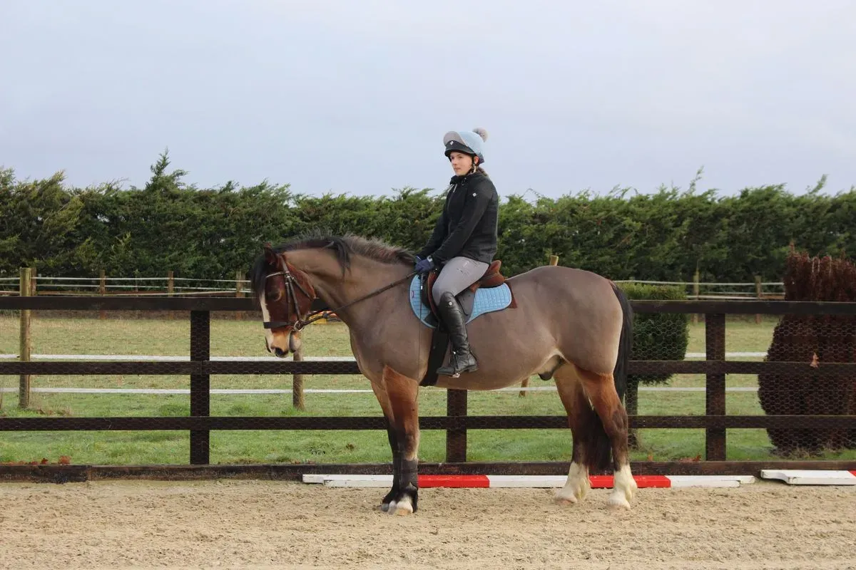 8225627593936-bponn5ol2m82tcbgpntnwv-IMG-9384 thumbnail image