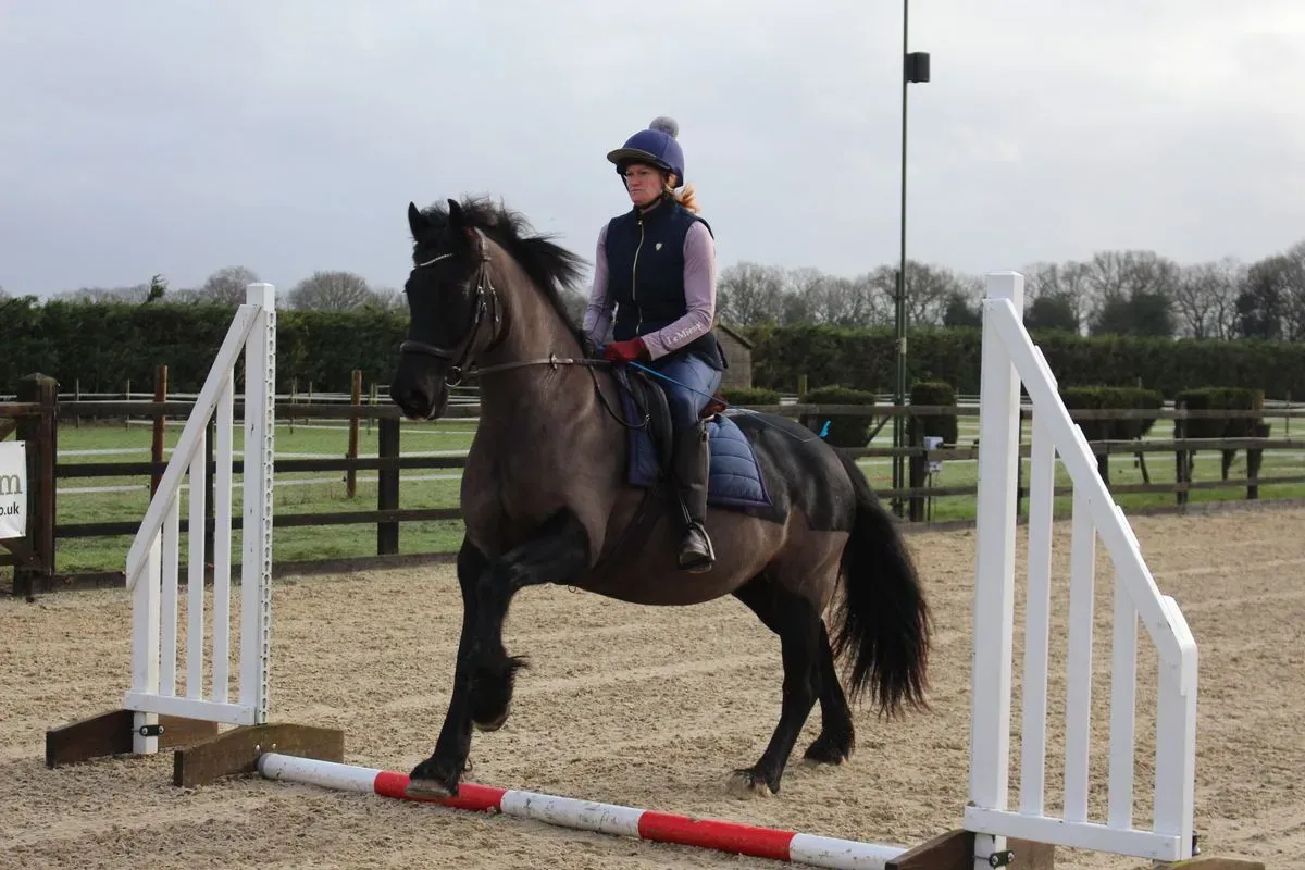 8225627681035-bipoo7zfv7qrhiztgohsqj-IMG-9382 thumbnail image