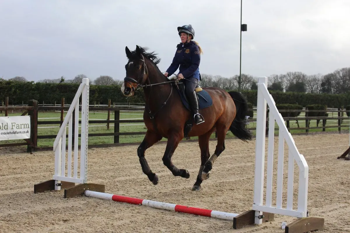 8225627809302-sjp5ei31qwaeg1egsuc2j-IMG-9383 thumbnail image