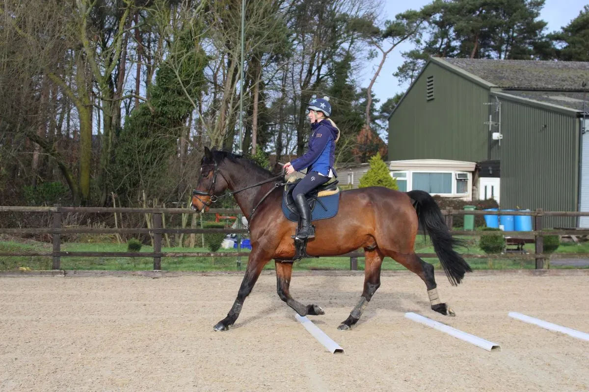 8225627973068-npegkoczncqphjnwvk5yg-IMG-9365 thumbnail image