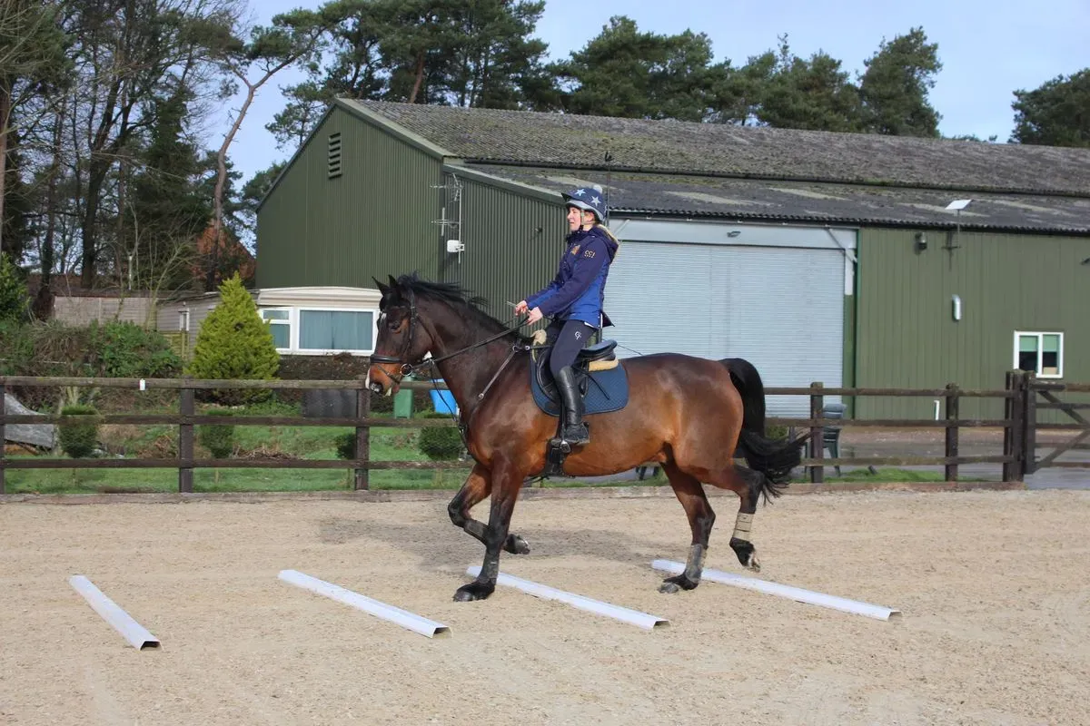 8225628009789-vp60bvo3zinjdzxuz2jofg-IMG-9363 thumbnail image