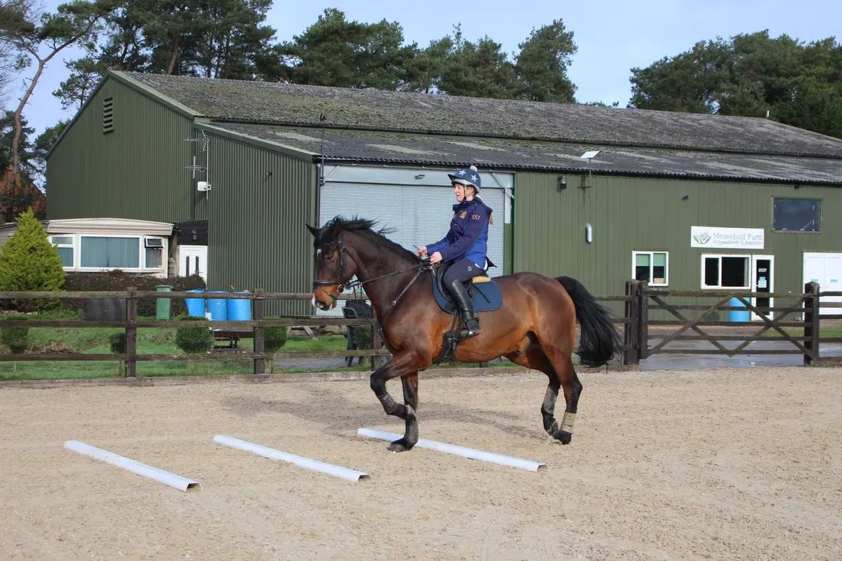 8225628048183-lsjd6qkrwnaelhnqhgbhzv-IMG-9362 thumbnail image