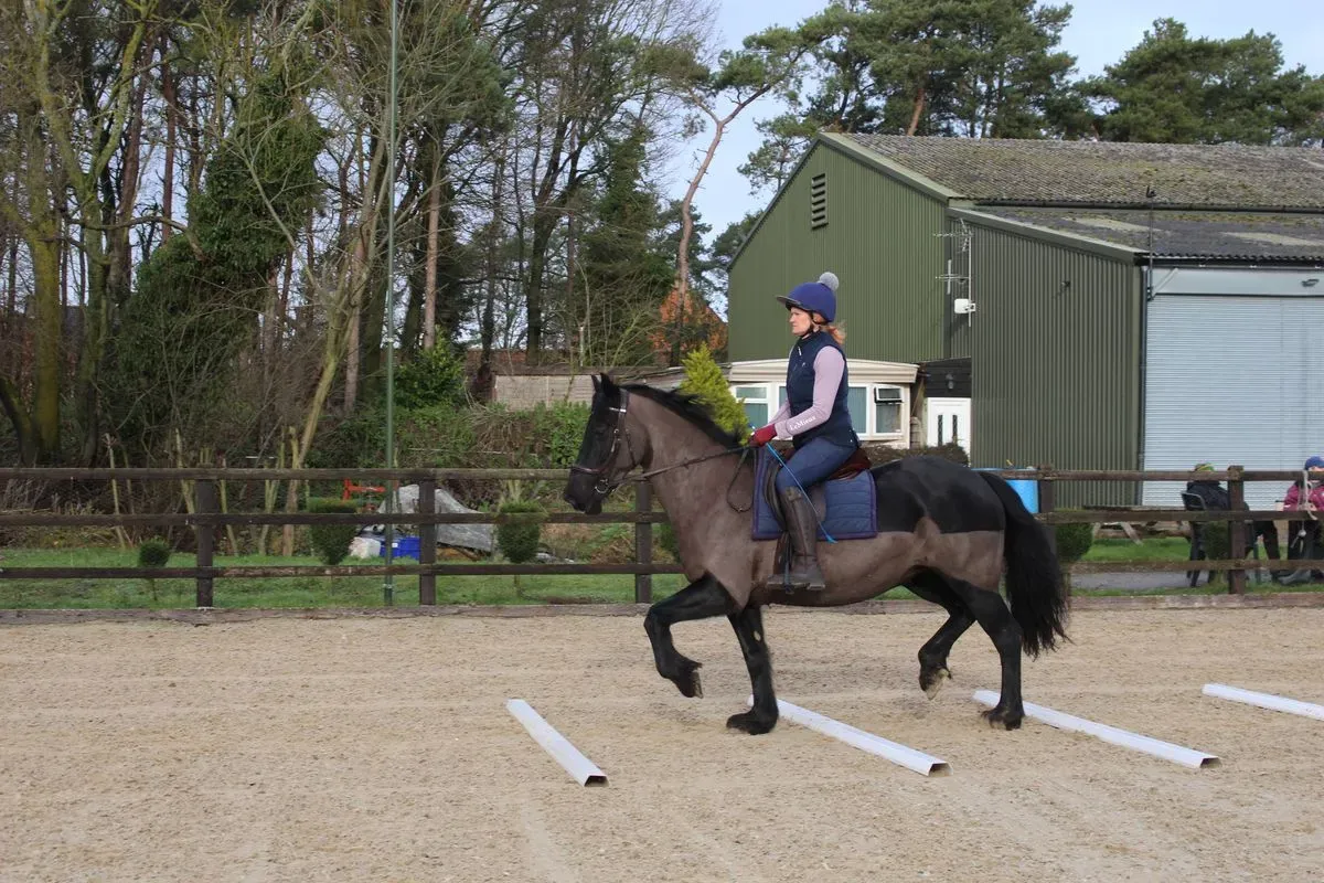 8225628093866-918o9h9g7tvlert6ojvohe-IMG-9353 thumbnail image