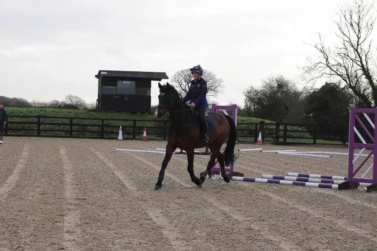 8225628131014-cv47rrb89gvz7pn9ht5j-IMG-9341 thumbnail image