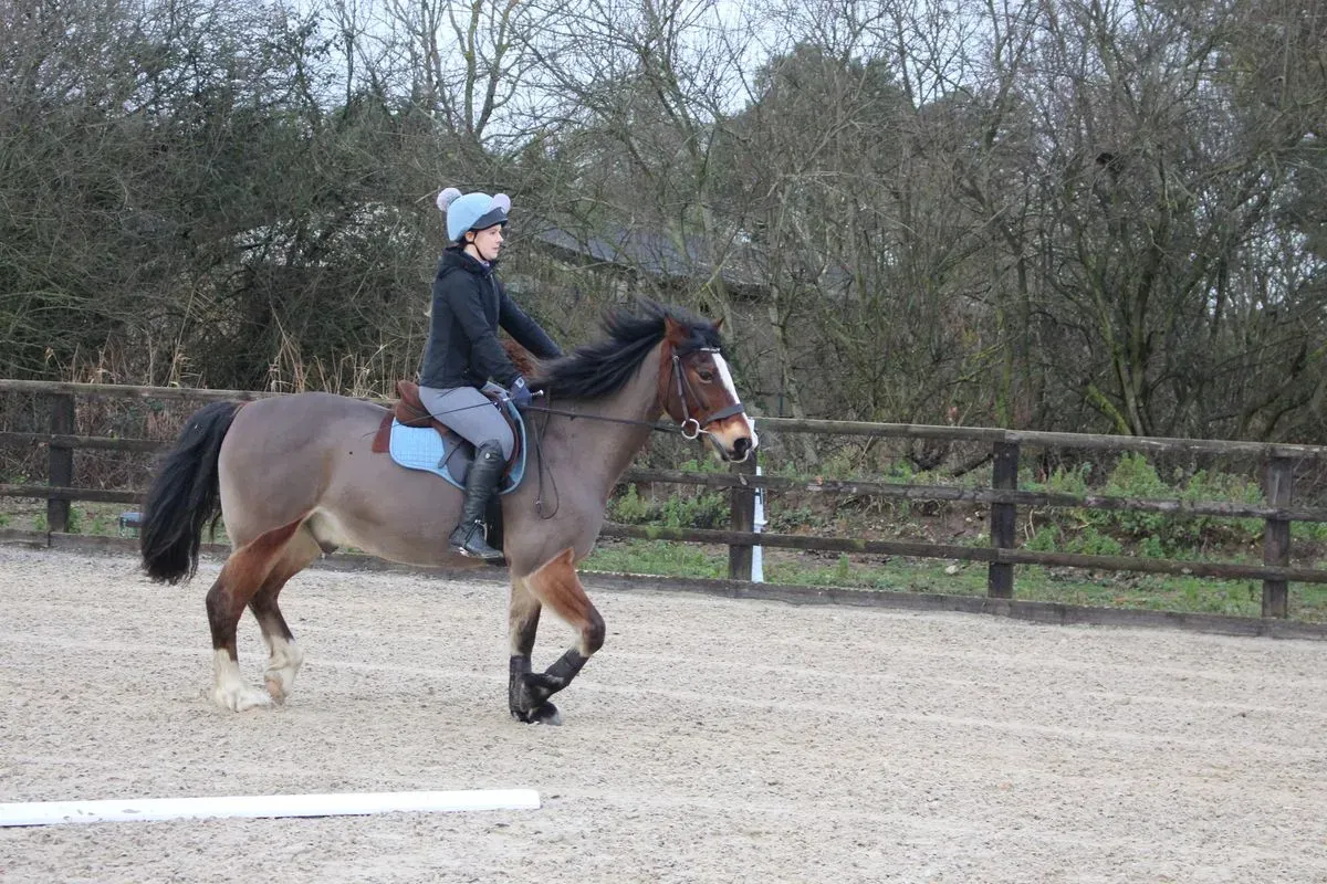 8225628185118-ht04mzano3judpec895jos-IMG-9337 thumbnail image