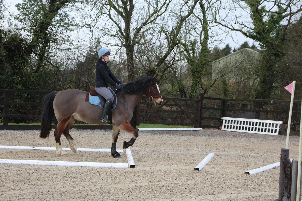 8225628223908-vo2vlria3kdy0r4sn4qb29-IMG-9334 thumbnail image