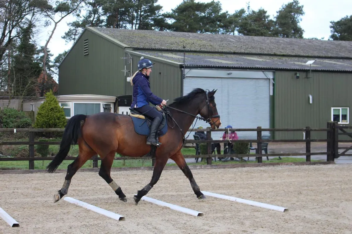 8225628266433-dm4oavy621dh5o6yr21dt-IMG-9333 thumbnail image