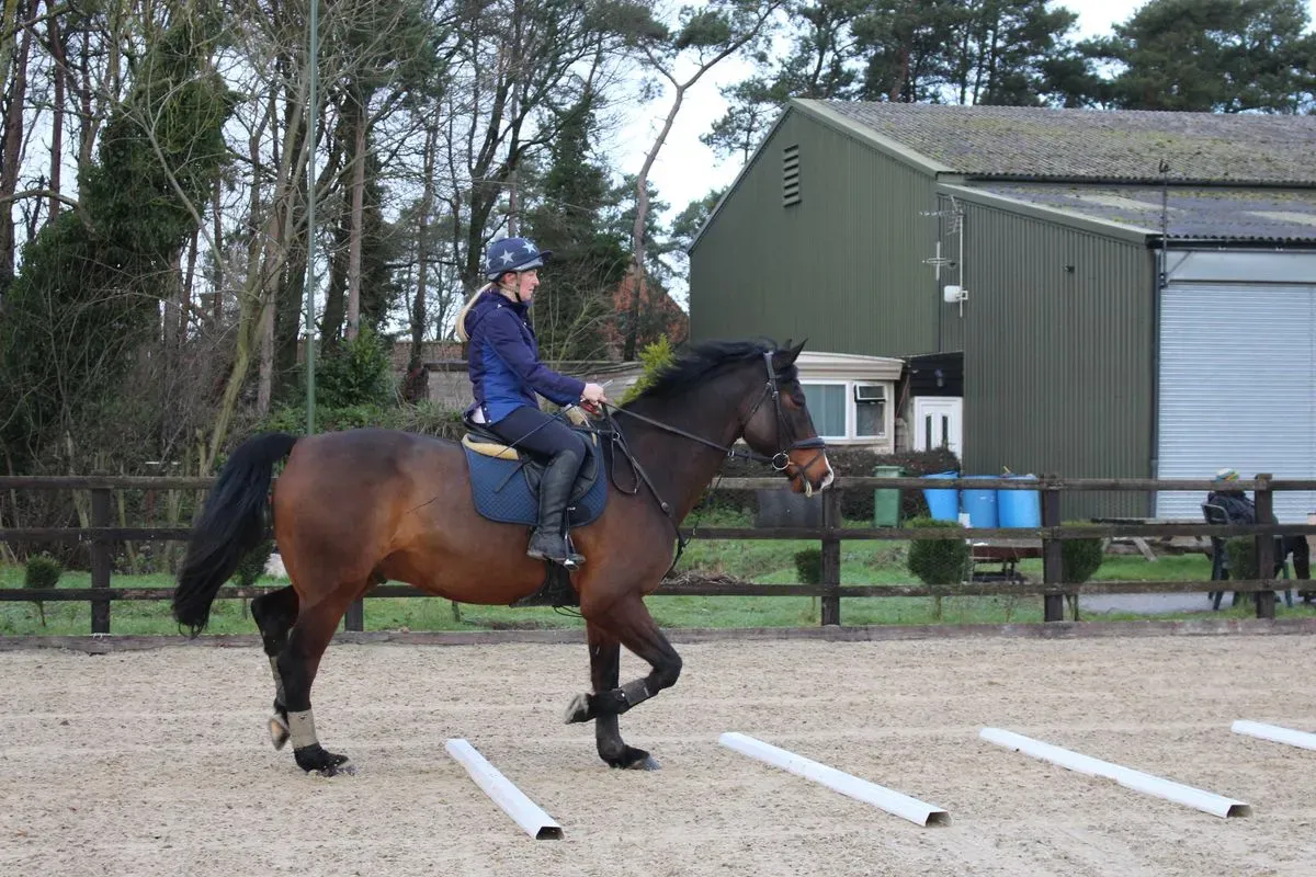 8225628326524-nsoj4ci0x99zyydbf106if-IMG-9332 thumbnail image