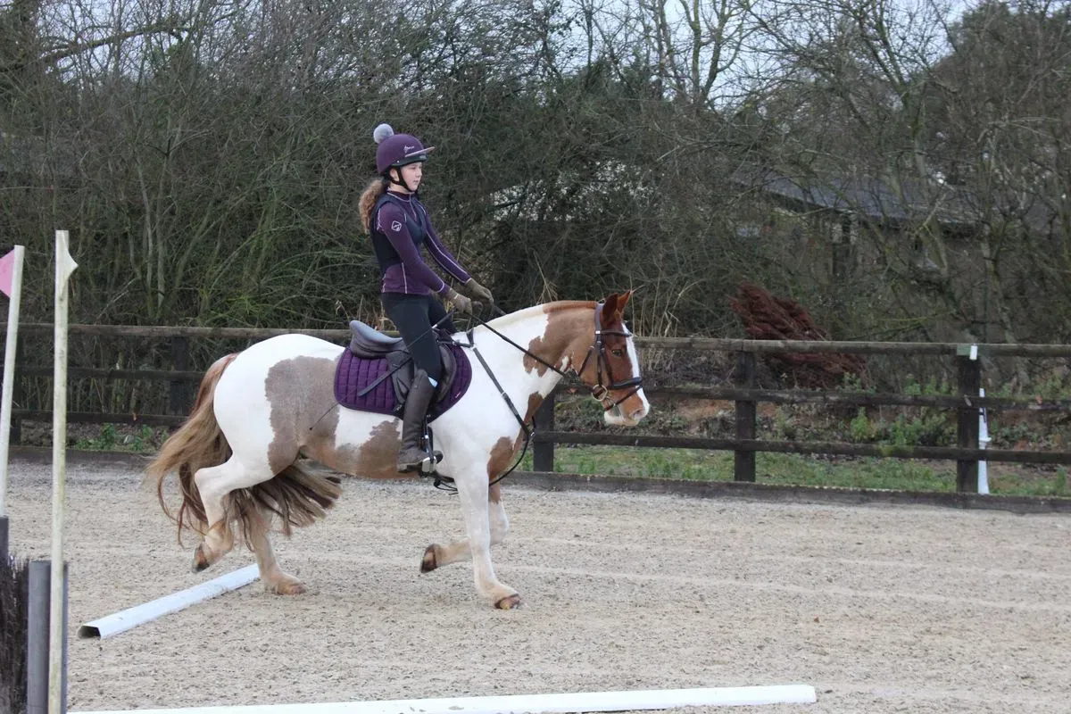 8225628363148-9zowltc8jeb20a4lie9p-IMG-9322 thumbnail image