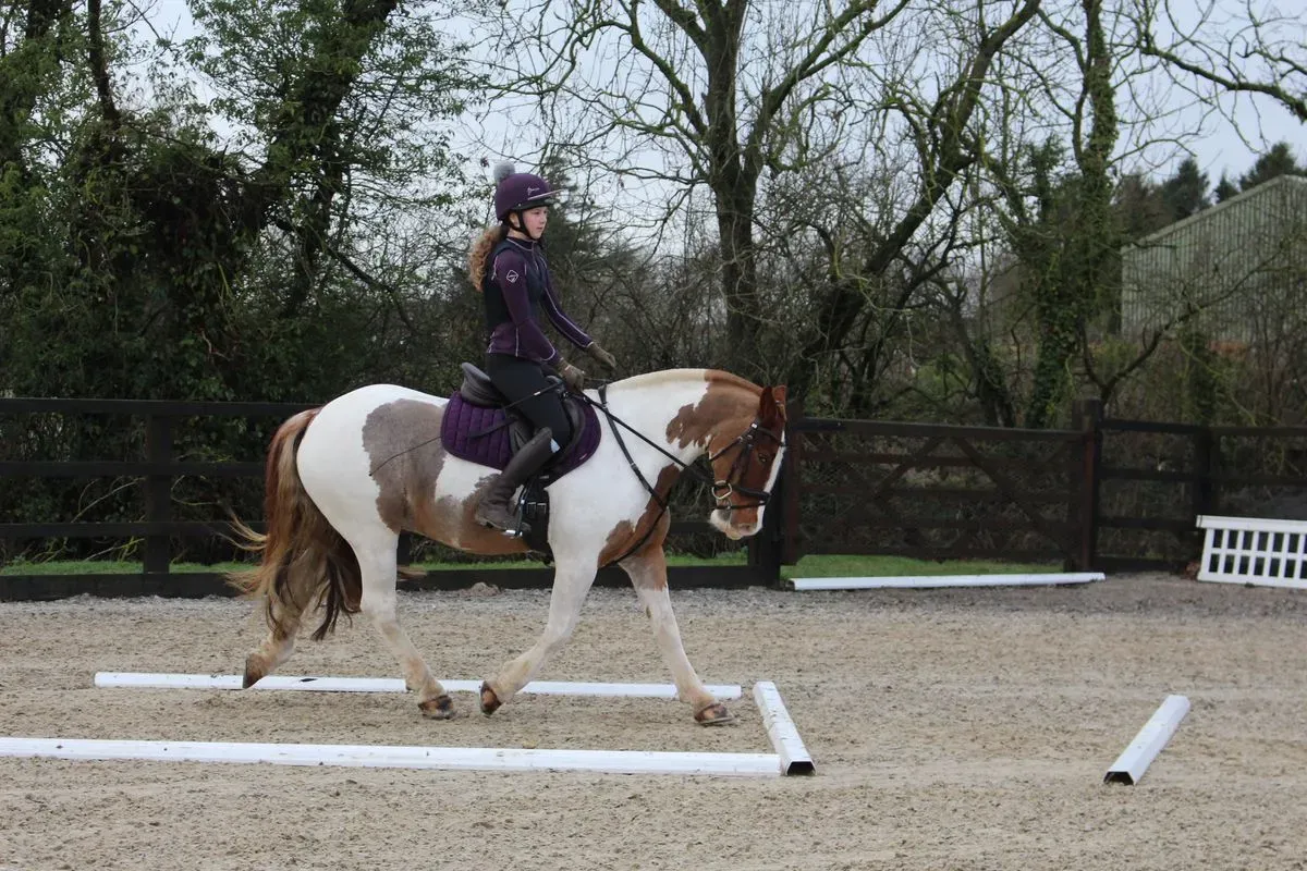 8225628399713-dc565425aznx1ksq6cbsqb-IMG-9320 thumbnail image