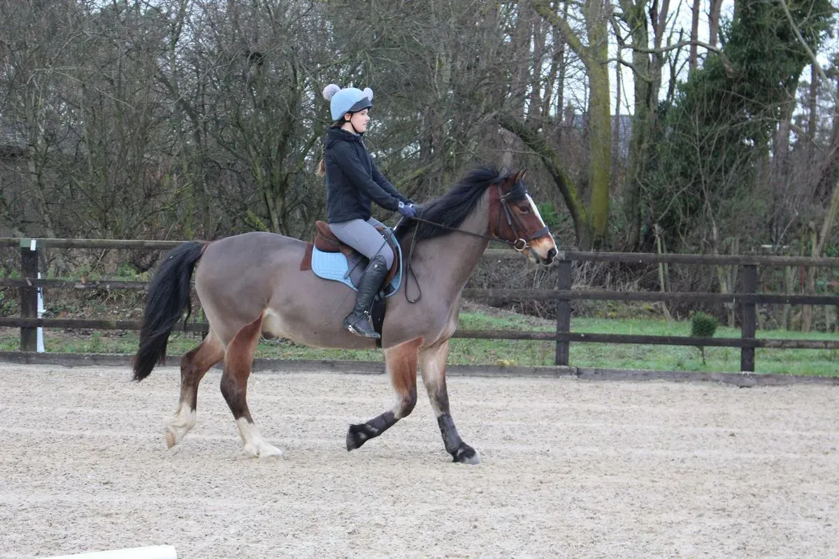 8225628443733-d9s2xffviwokpwbq27oui-IMG-9303 thumbnail image