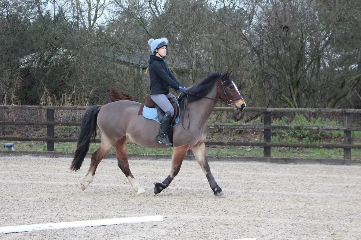 8225628487119-kohxm13bzumdbz76jd50fw-IMG-9302 thumbnail image